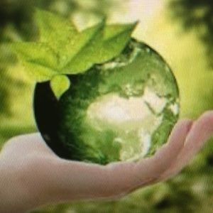 Meet your Posher, Mohammed